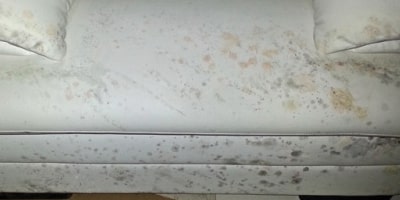 Furniture Mold Removal