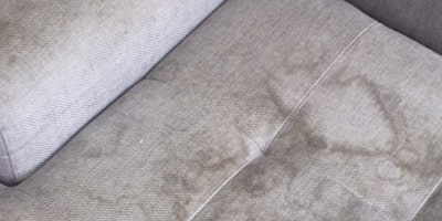 Lounge Cleaning and Odor Removal