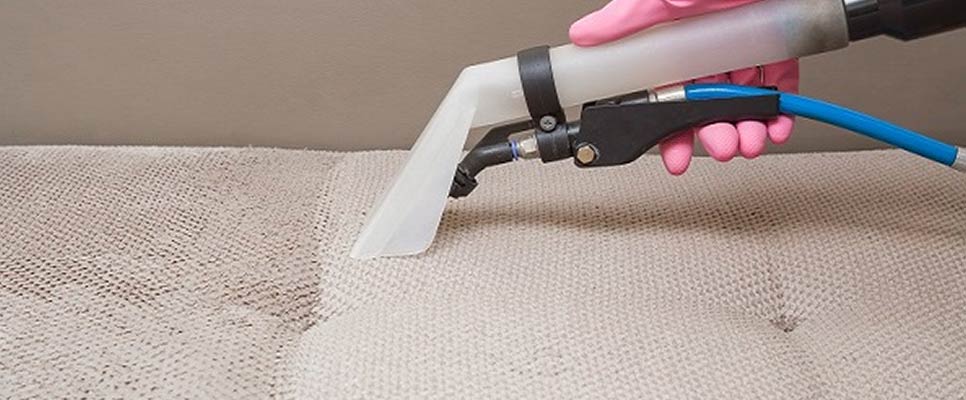 Upholstery Cleaning Paddington