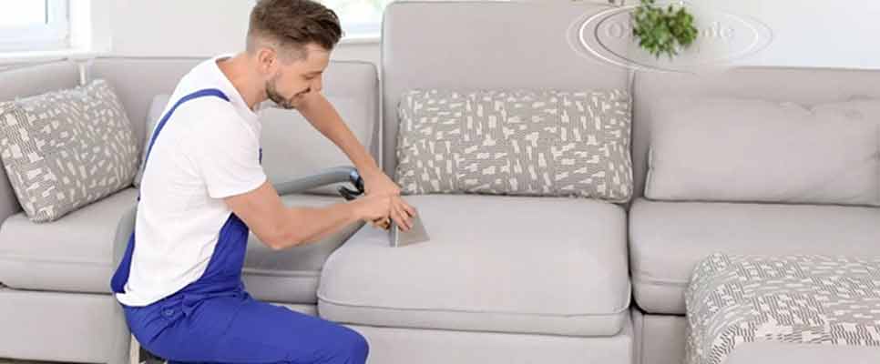 Upholstery Cleaning Woollahra